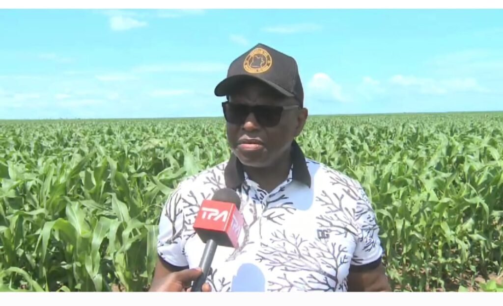 Projecto Mina Gema de Zeca Cassanguidi Fomenta Produção Agrícola na Lunda Norte e Impulsiona Diversificação Económica